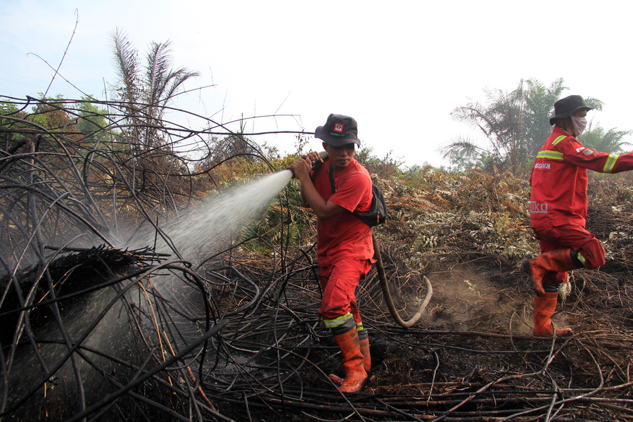 Firefighting Teams Continue to Struggle with Forest and Land Fires in Riau