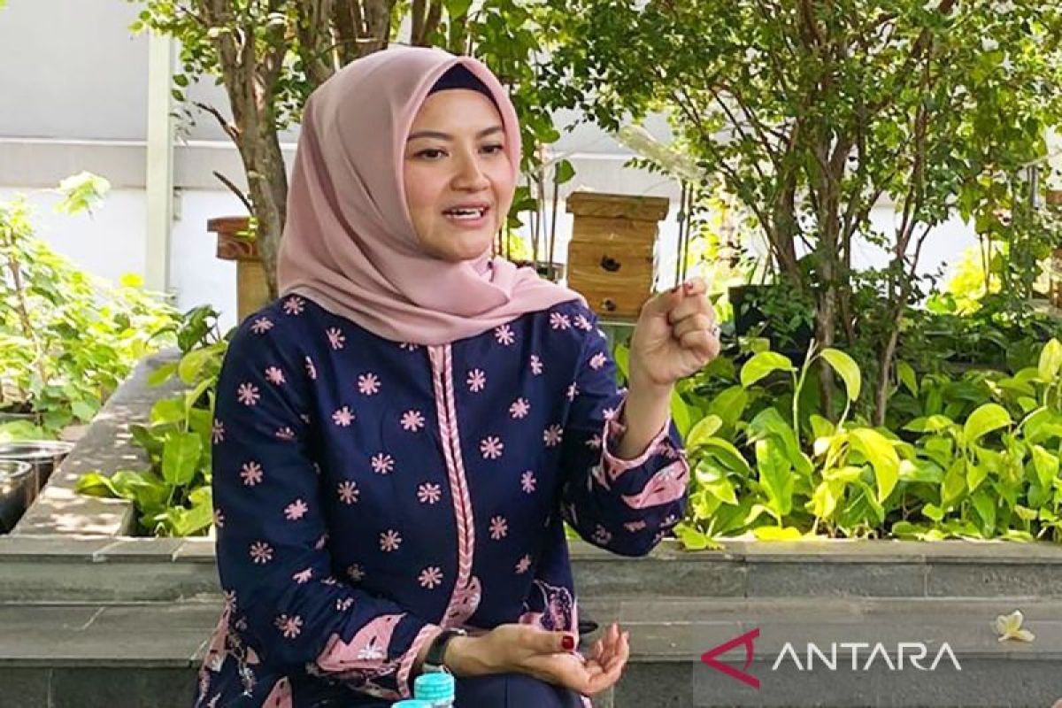 Indonesia maintains energy stability with proportional measures: staff