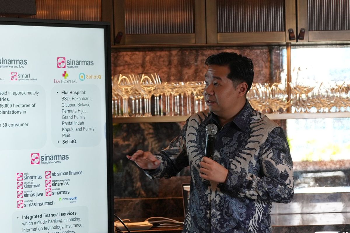 DSSA strengthens its role in supporting Indonesia's energy transition and digital connectivity