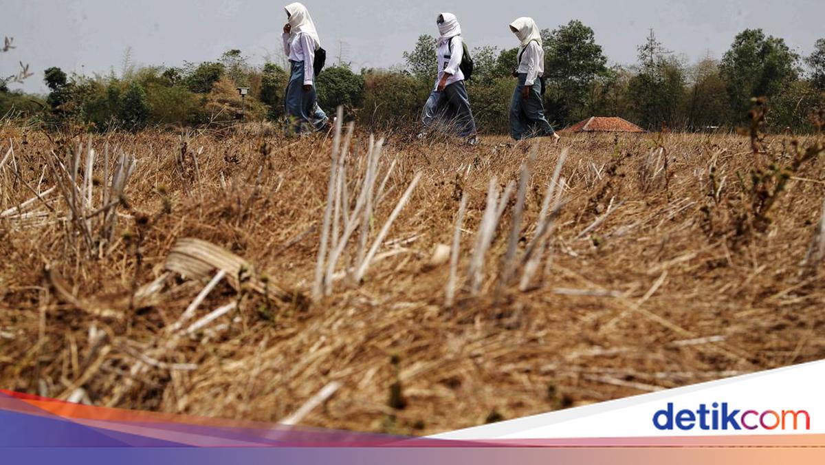 'Godzilla El Niño' and Its Threats to the Agricultural Sector