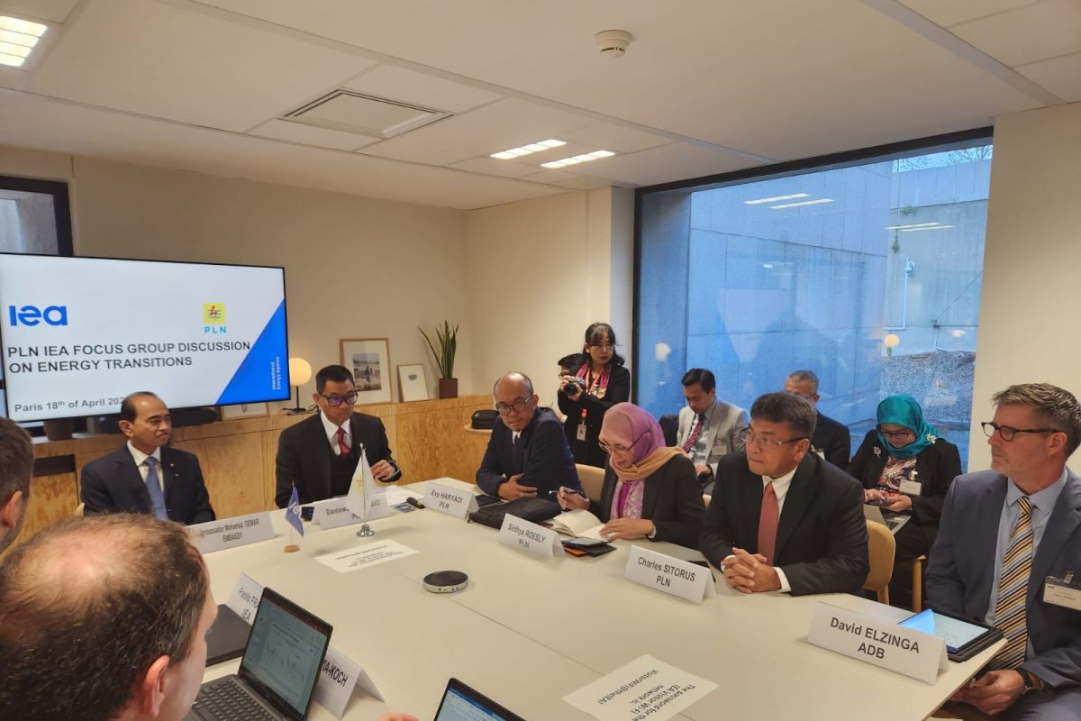 IEA Supports Energy Efficiency Amid Global Crisis