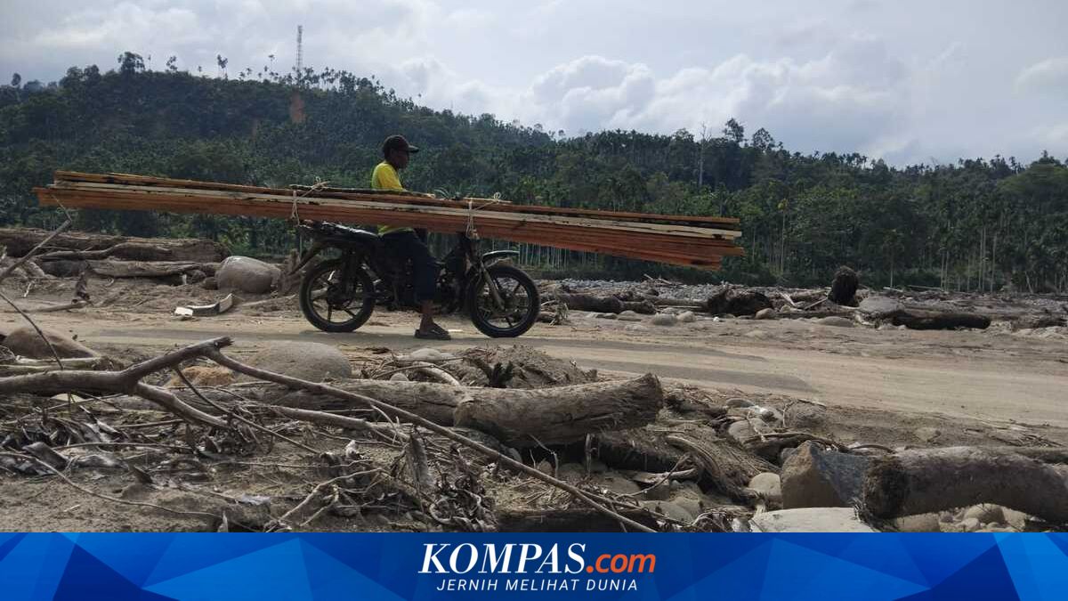 Driftwood from Sumatra Floods Utilised as Temporary Housing Material