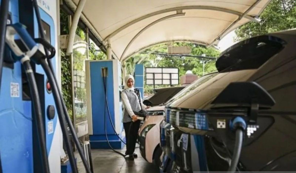 Electric Vehicle Incentives Need to Be Activated to Reduce Energy Subsidy Burden