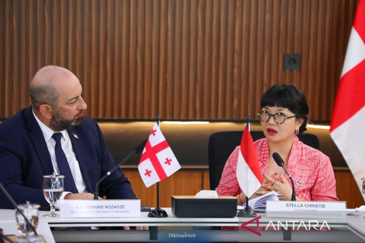 Indonesia, Georgia advance talks on higher education partnership