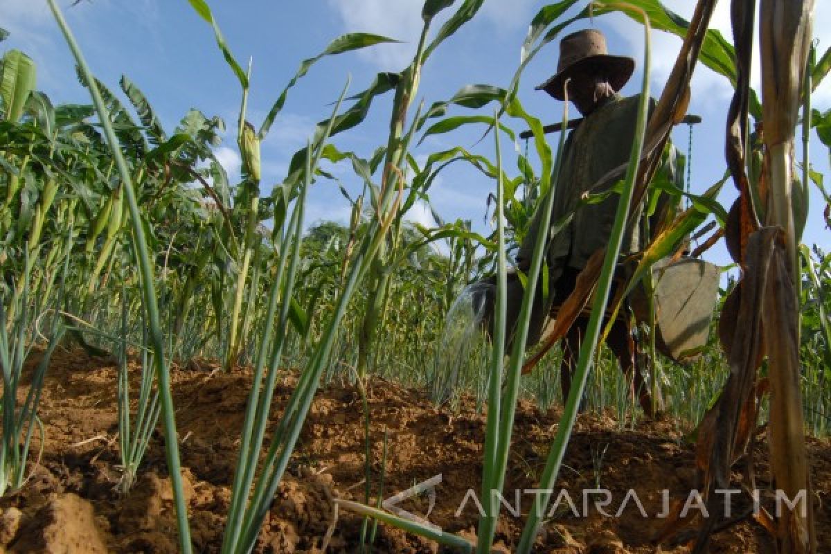 When farmers' welfare aligns with ecological recovery