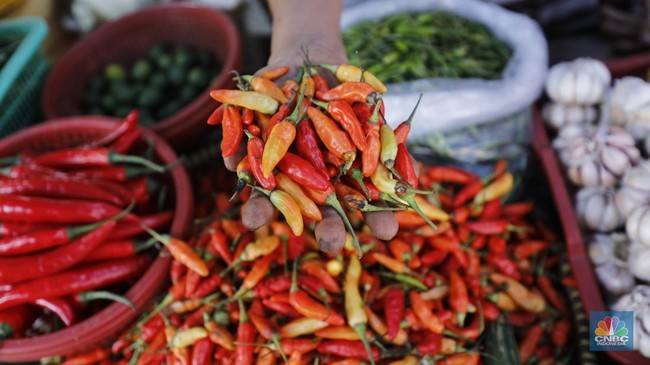 Prices of Bird's Eye Chillies Soar Higher, Chicken Now Around Rp50,000