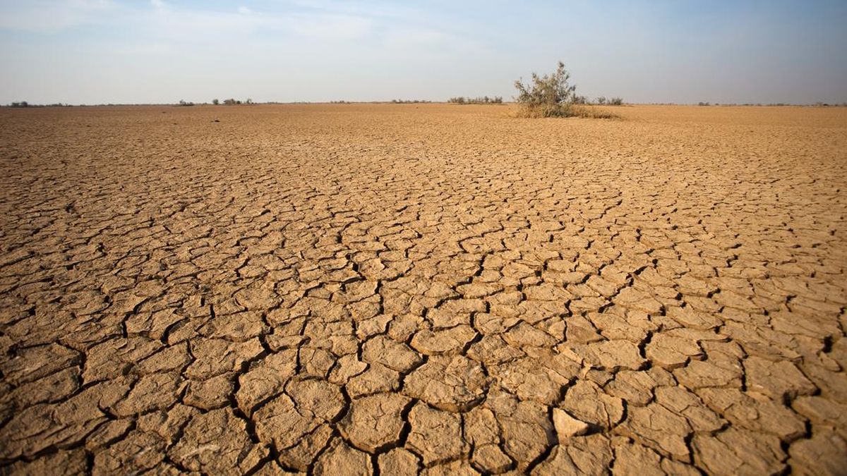 Prediction of Prolonged Dry Season, 410,000 Households in East Java Threatened by Drought