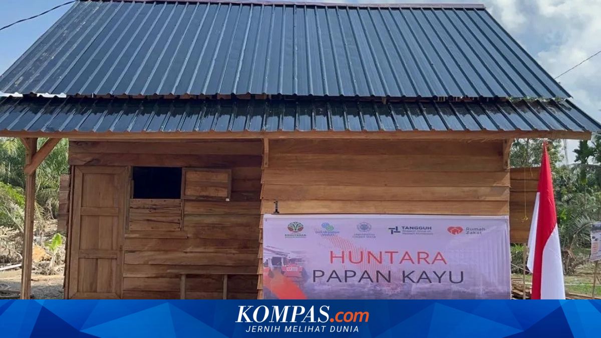 Task Force PRR Accelerates Utilisation of Driftwood as a Post-Disaster Recovery Strategy in Affected Regions