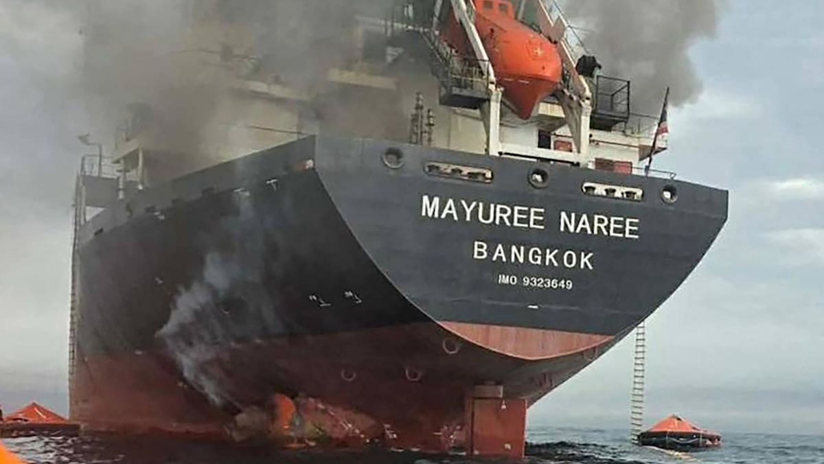 Human remains found on Thai ship attacked in Hormuz strait: Firm