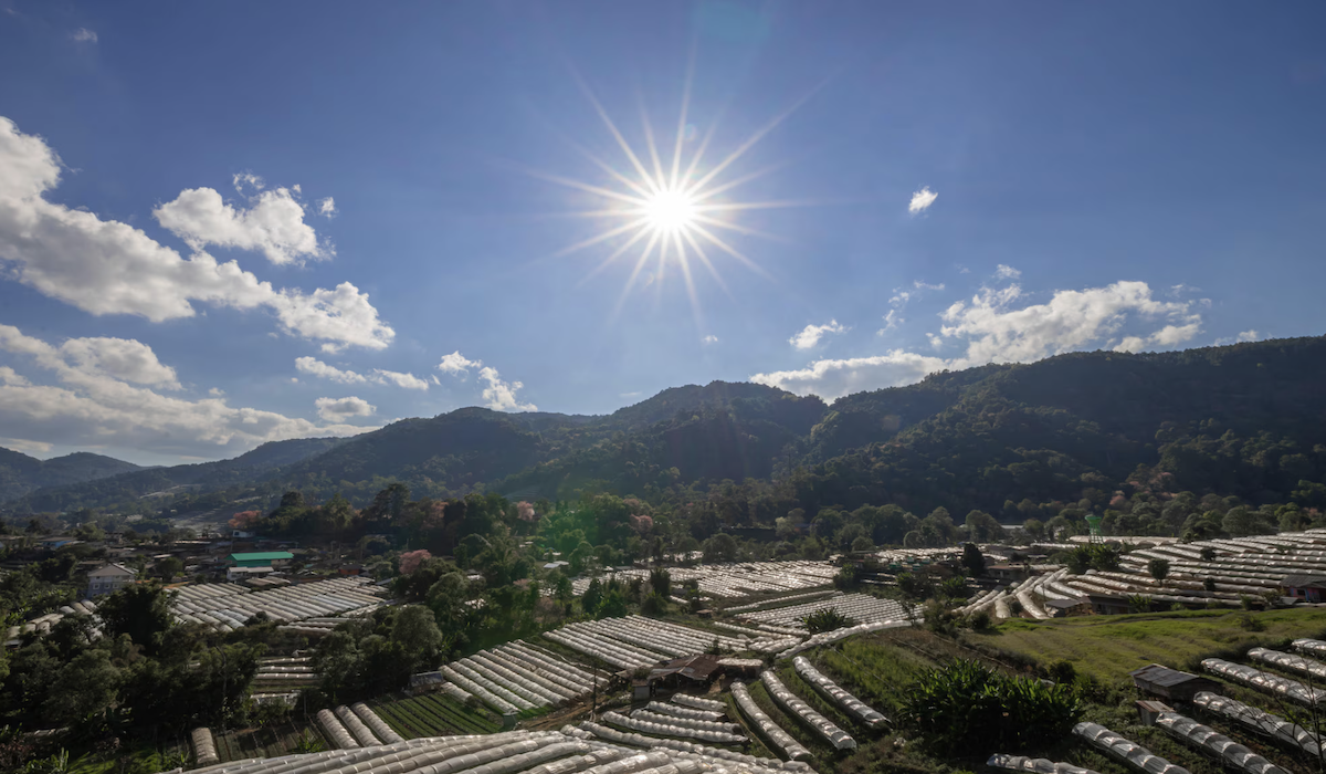 Understanding Godzilla El Niño: Impacts, Cycle, and Ways to Cope