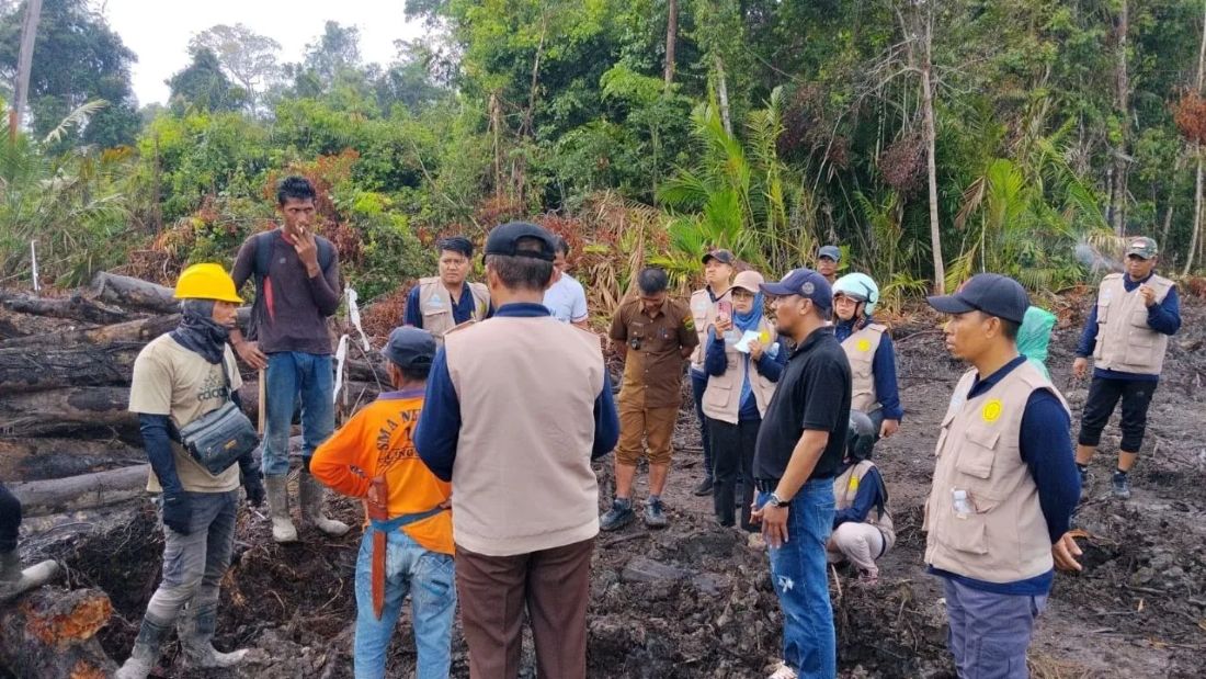Without Buffer Zone, Residents' Sago Gardens Affected by Land Clearing