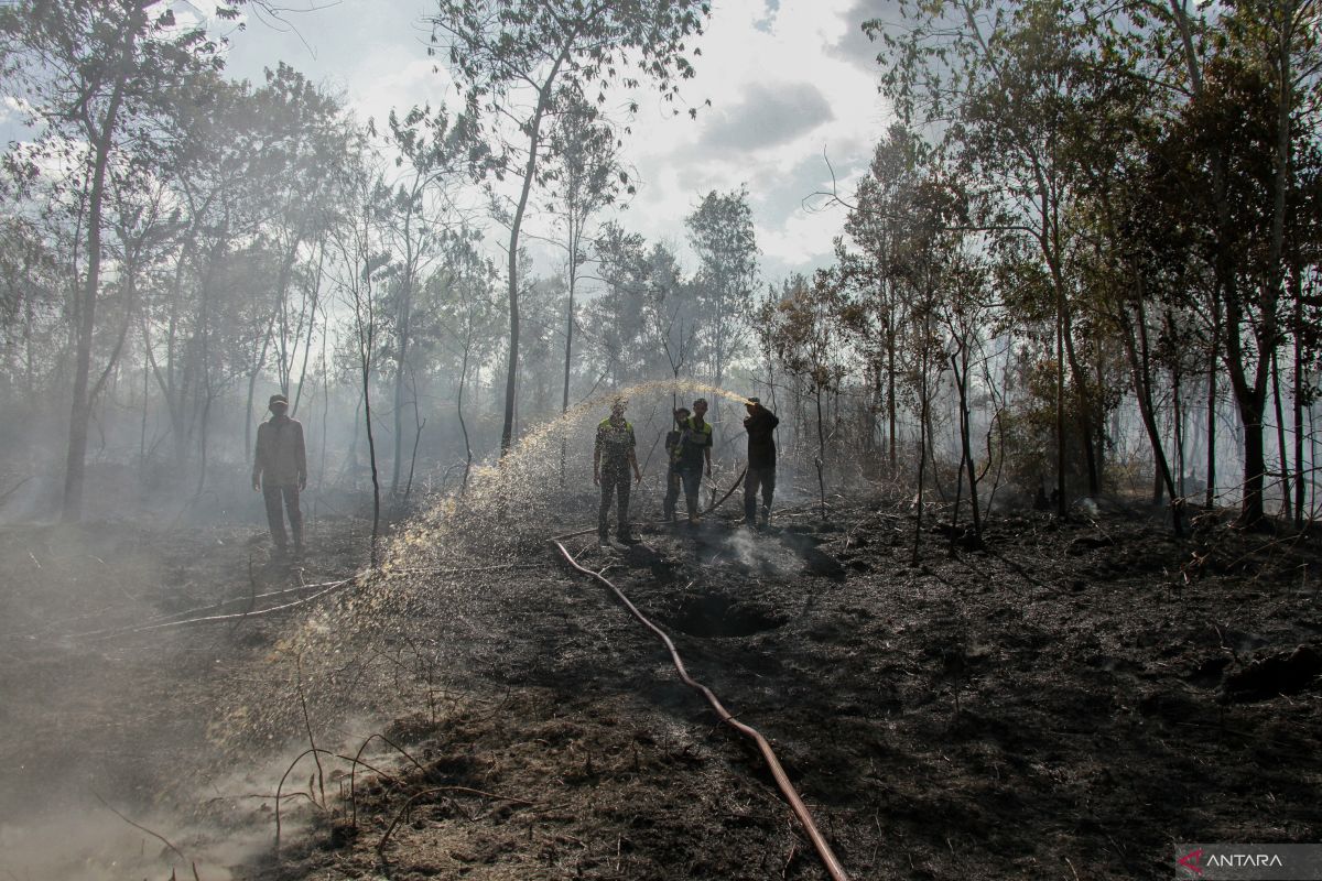 Protect peatlands ahead of strong El Niño