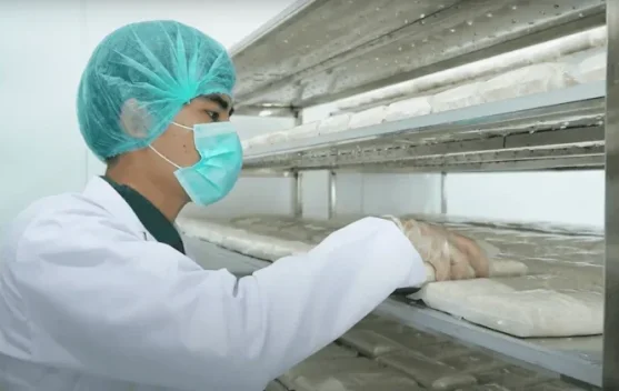 Indonesian Tempe Breaks into Chilean Market Through IC-CEPA