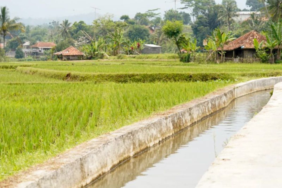 Ministry of Agriculture and Public Works Optimise Water Management to Anticipate Drought in Central Java