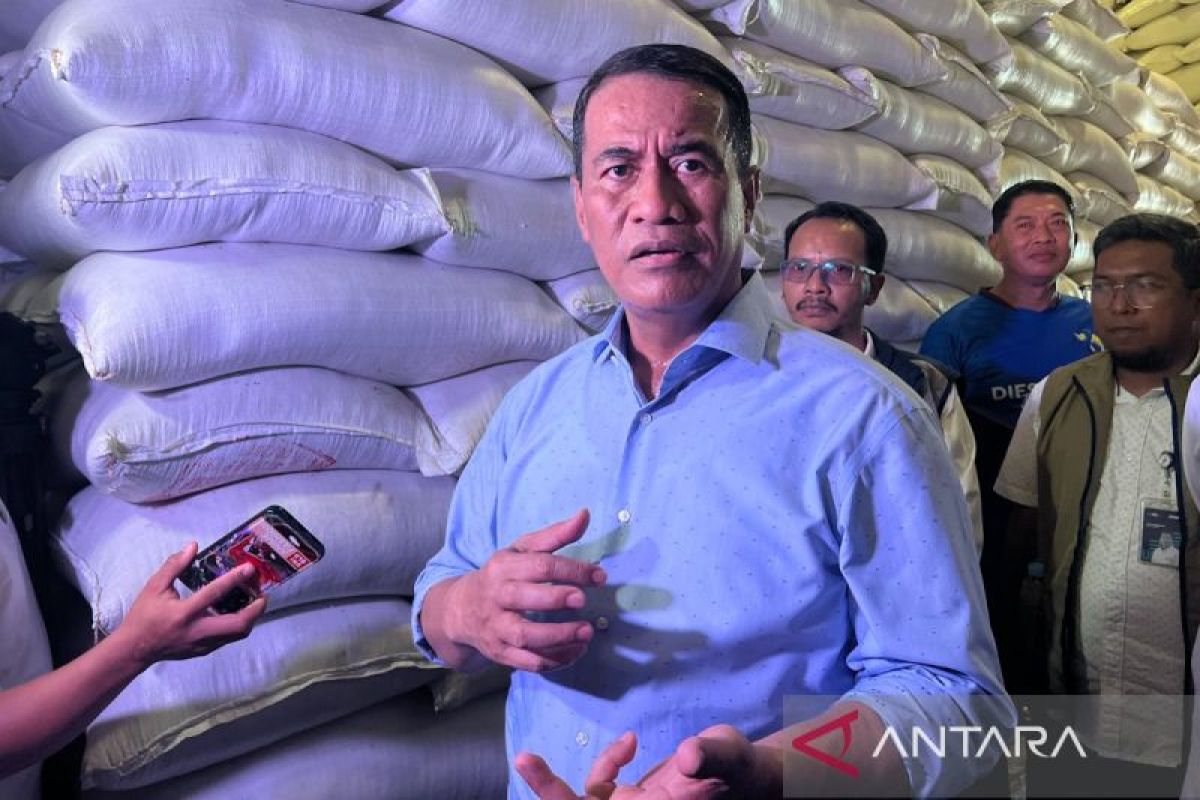 Agriculture Minister Amran: South Sulawesi's Rice Stock Surges to 761,000 Tonnes