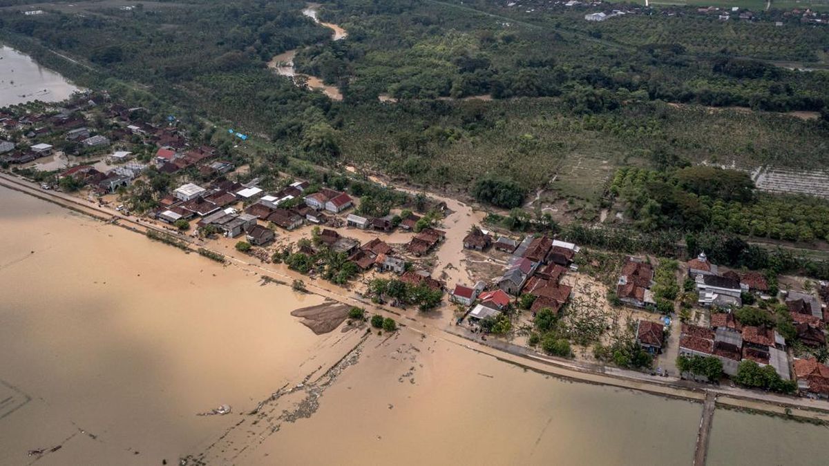 671 Hectares of Rice Fields in Demak Affected by Flooding
