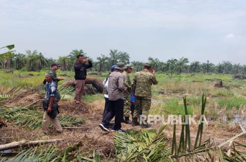 Illegal Palm Oil Plantations Dismantled, North Sumatra Mangrove Area Restored