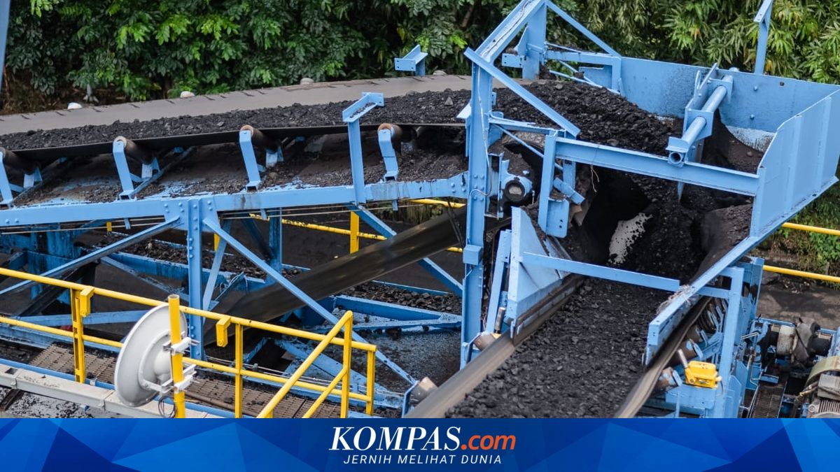 PTBA's Profit Reaches Rp 2.93 Trillion Amid Declining Coal Prices