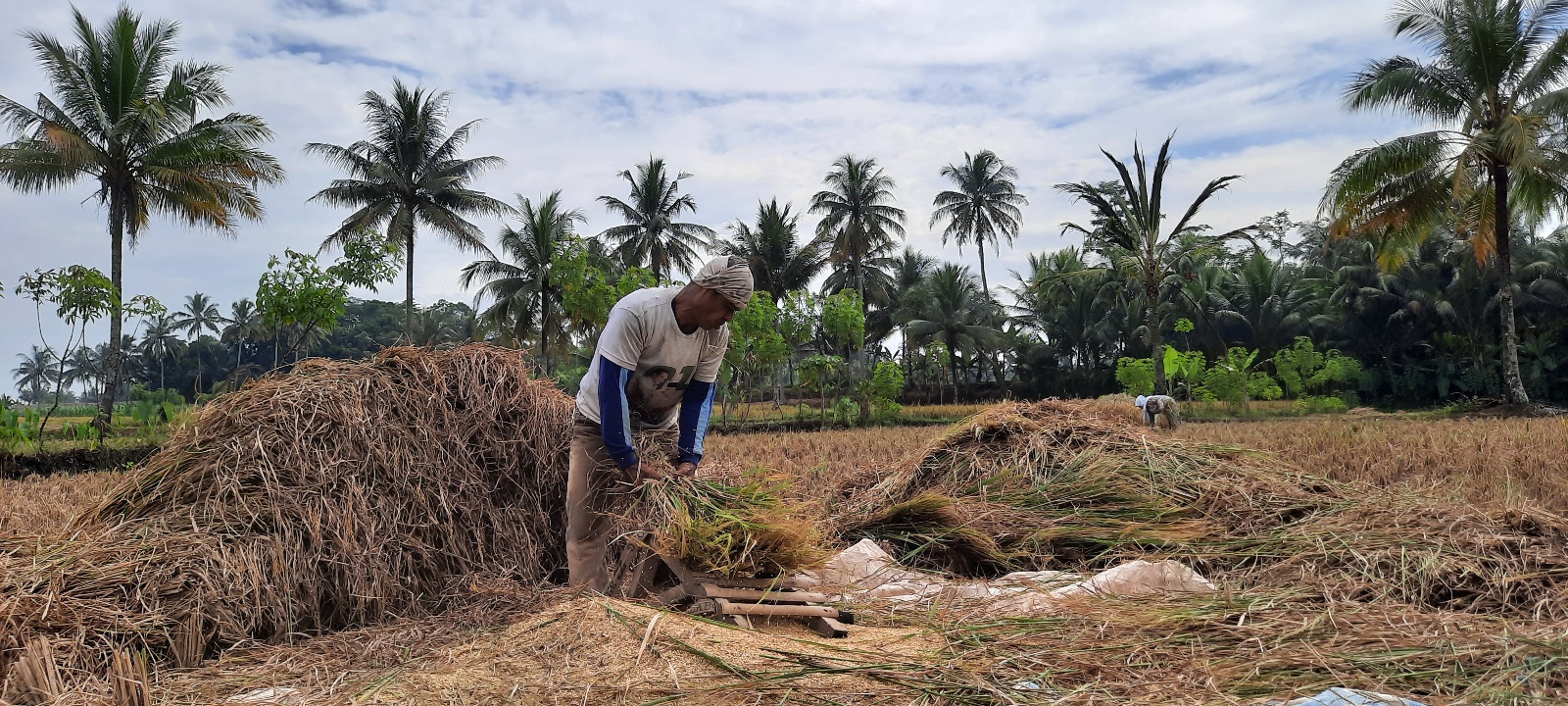 Cianjur TPHP Department on Guard Against 'Godzilla' El Niño, Prepares Strategic Anticipation Measures