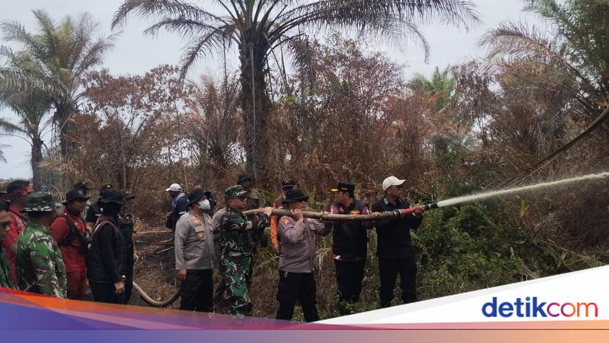 Police Arrest Suspect Responsible for Days-Long Forest and Land Fire in Pelalawan
