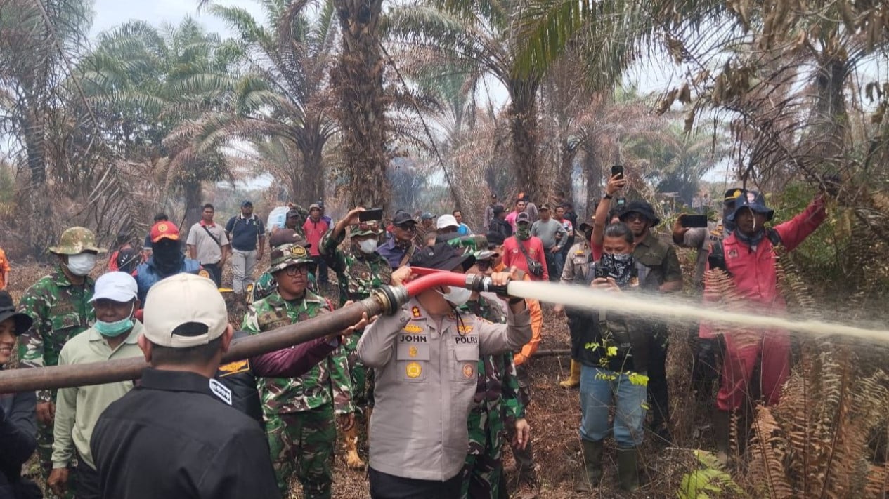 500-Hectare Land and Forest Fire Uncovered, Pelalawan Police Arrest Land Burner