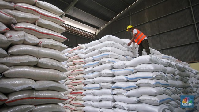 Agriculture Minister Candidly Admits Indonesia Still Imports Broken Rice Despite Abundant Stock