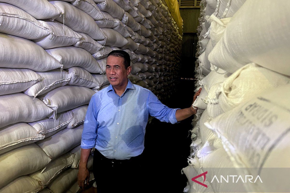 Indonesia's rice reserves secure at 4.5 million tons: Minister