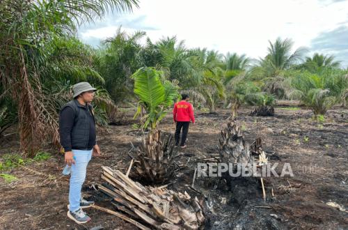 Karhutla: Law Enforcement Tightened for Deterrent Effect