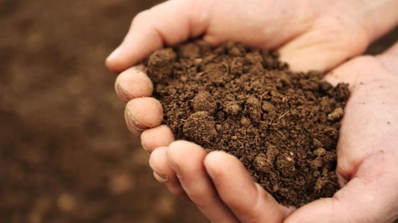 3 Easy Ways to Check Official PPAT to Avoid Land Fraud