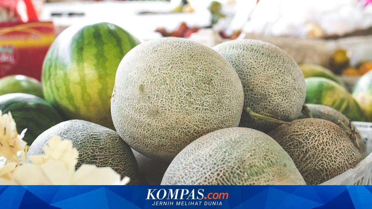 Becoming a Supplier for the MBG Kitchen, Solo Fruit Seller Sells 4 Tons of Melon Per Day