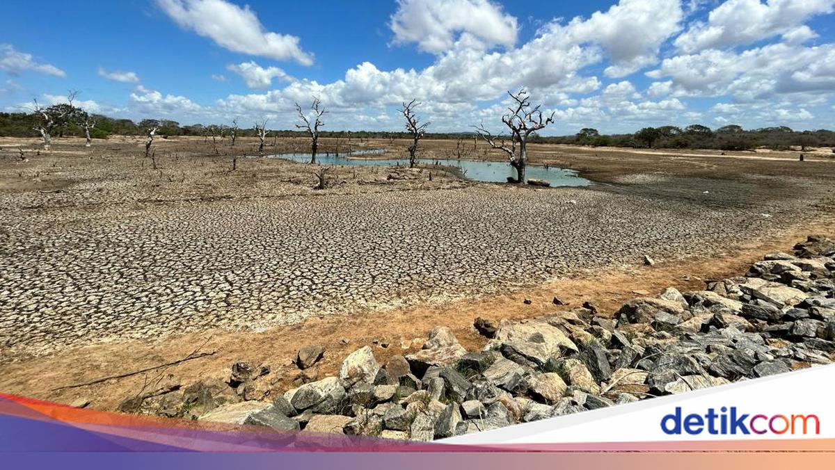 List of Indonesian Regions Entering the Dry Season in April 2026