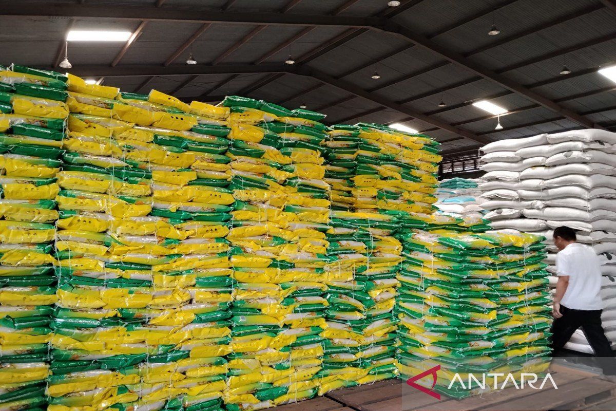 Bulog North Sumatra increases SPHP rice distribution quota to maintain price stability