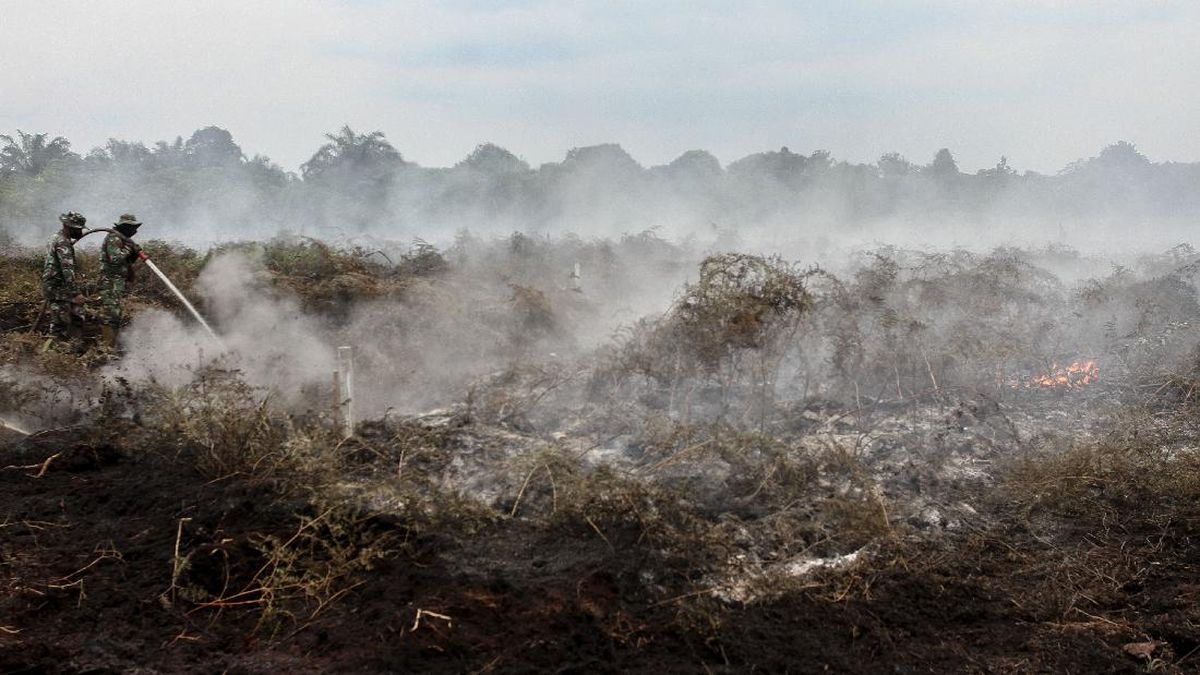 Police Arrest Suspect in 500-Hectare Forest Fire in Pelalawan, Riau