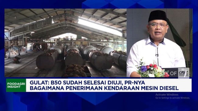 Video: Palm Farmers Claim "Replanting" Has Failed, Disrupting Indonesia's CPO Production