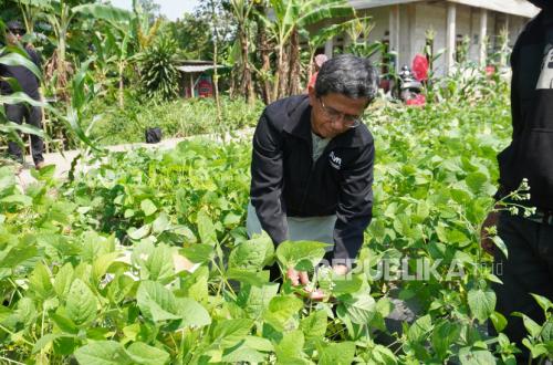 First Edamame Harvest on Productive Waqf Land of AMAL Foundation Exceeds Expectations