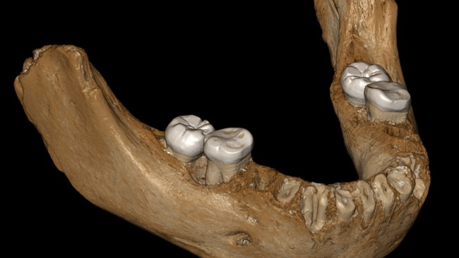 Discovery of 18-Million-Year-Old Ancient Creature Could Change Human Origins