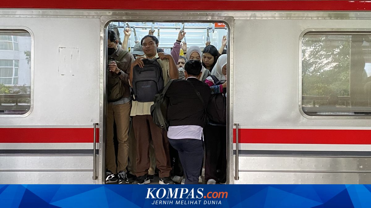Government Urged to Improve Public Transportation to Anticipate Energy Crisis