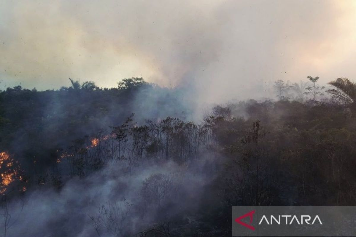 Natuna Forest and Land Fire Handling Team Divided into Several Regions