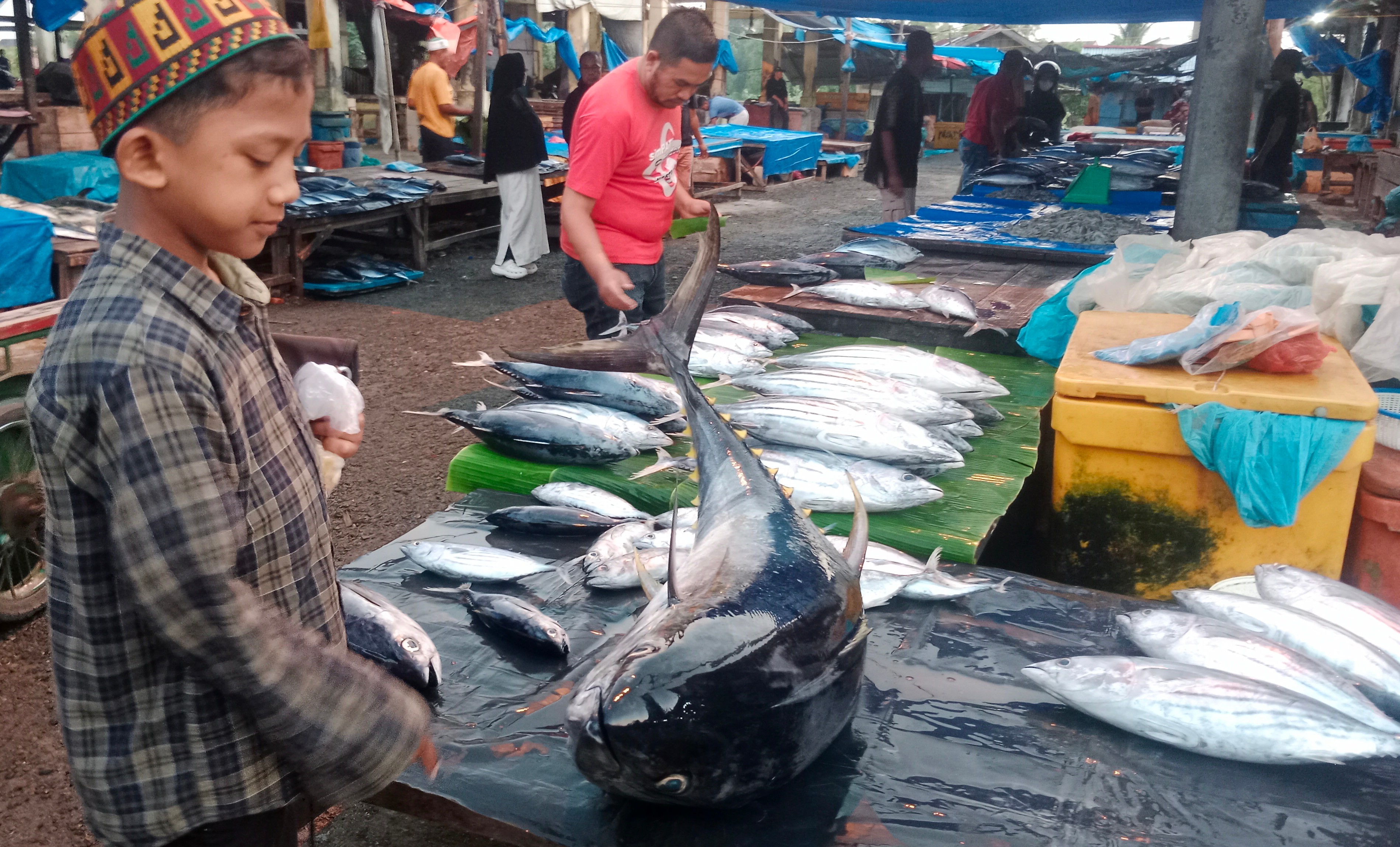 Since the Start of Eid, Fresh Sea Fish Prices in Aceh Remain High, Traders Anxious