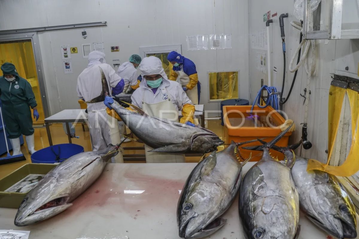 Indonesia and Japan collaborate to strengthen fisheries human resources