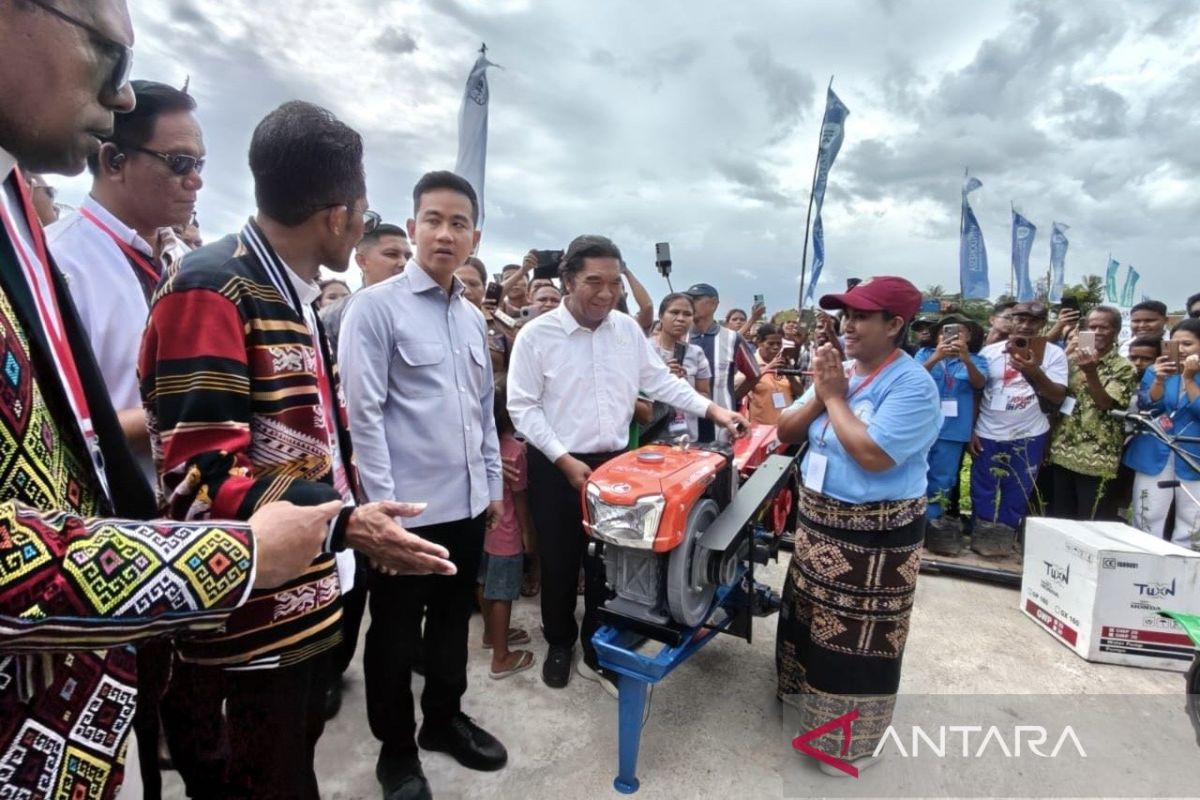 In Kupang, Vice President Gibran Praises Farmers' Produce for MBG Supply