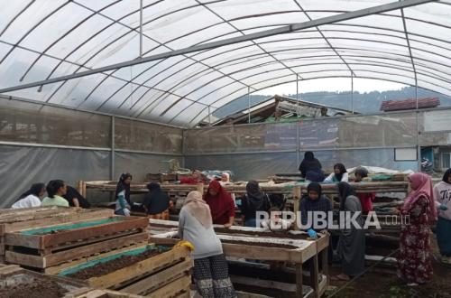 From Waste to Livelihood: PNM Mekaar Customers Develop Businesses Through BRI Ultra Micro Synergy