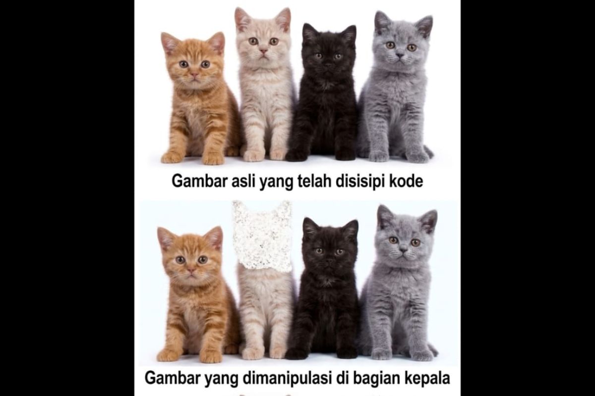 Unej Researcher Develops Method for Detecting Digital Image Forgery