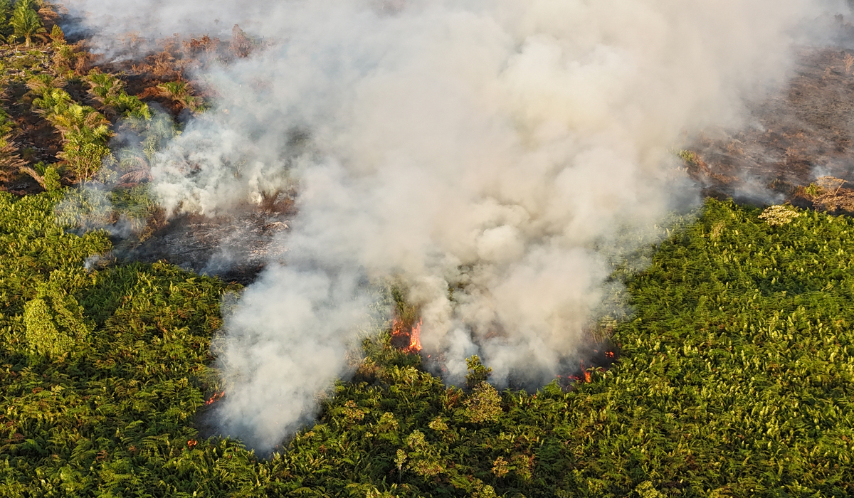 BNPB Prepares 28 Air Fleet Units to Face 2026 Forest and Land Fire Threats