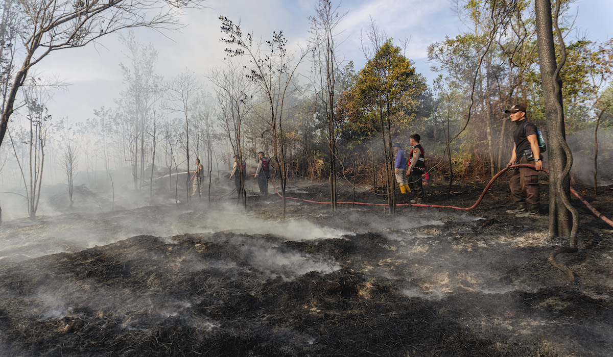 Hotspots Triple in 2026, Forest and Land Fire Threat Expands