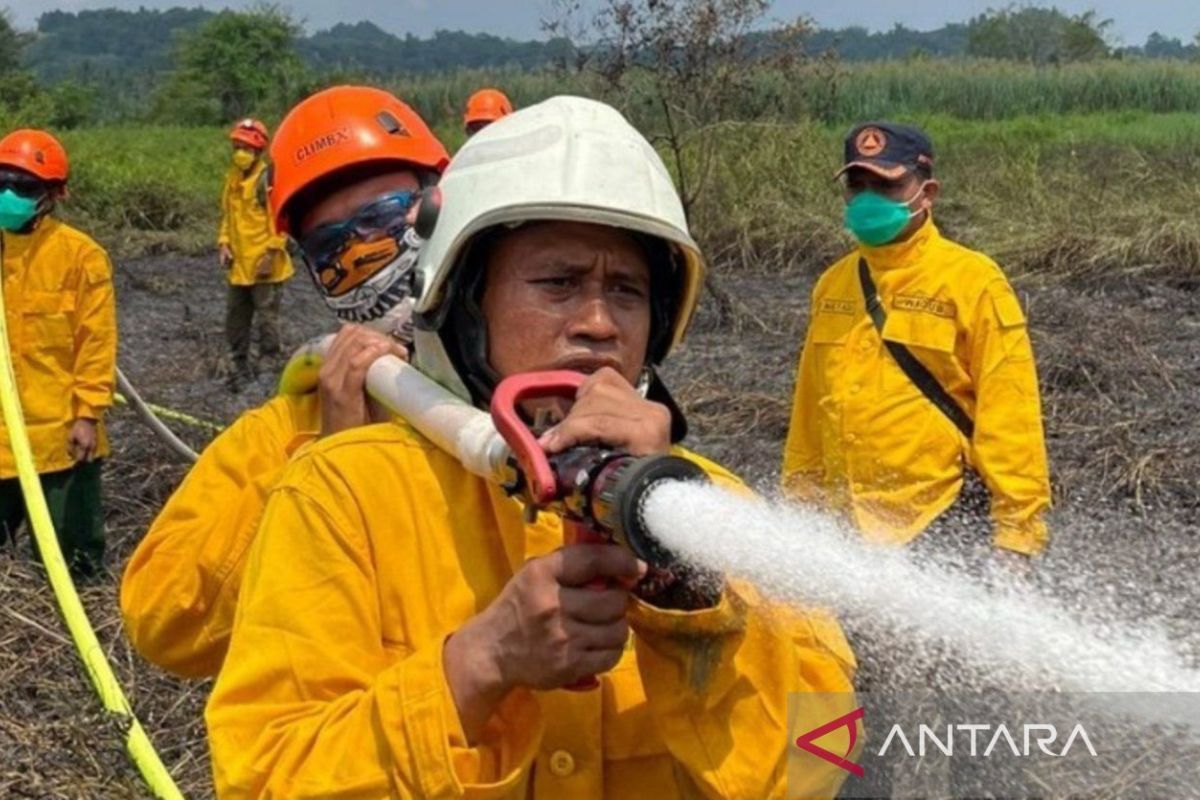 East Kalimantan BPBD Implements Pagar Betis Strategy to Anticipate Forest and Land Fires in IKN