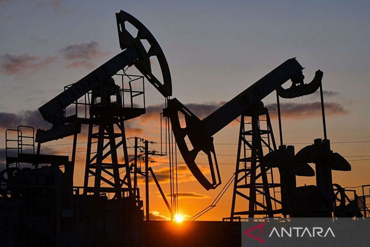 Japanese Opposition Proposes Government Import Oil from Russia