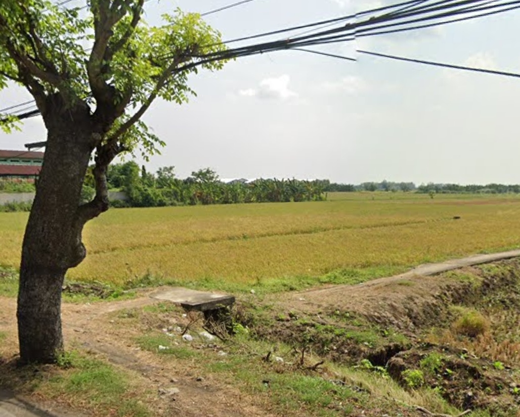 Land Use Conversion Reaches Tens of Thousands of Hectares in Central Java, Threatening Food Self-Sufficiency