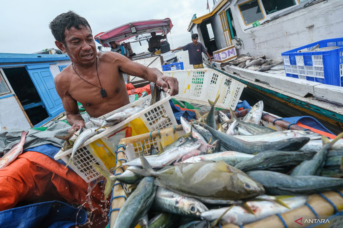 Government ensures availability of fishery products amid global tensions