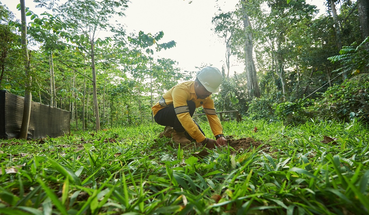 Tightening Forest Fire Monitoring to Anticipate Extreme El Niño